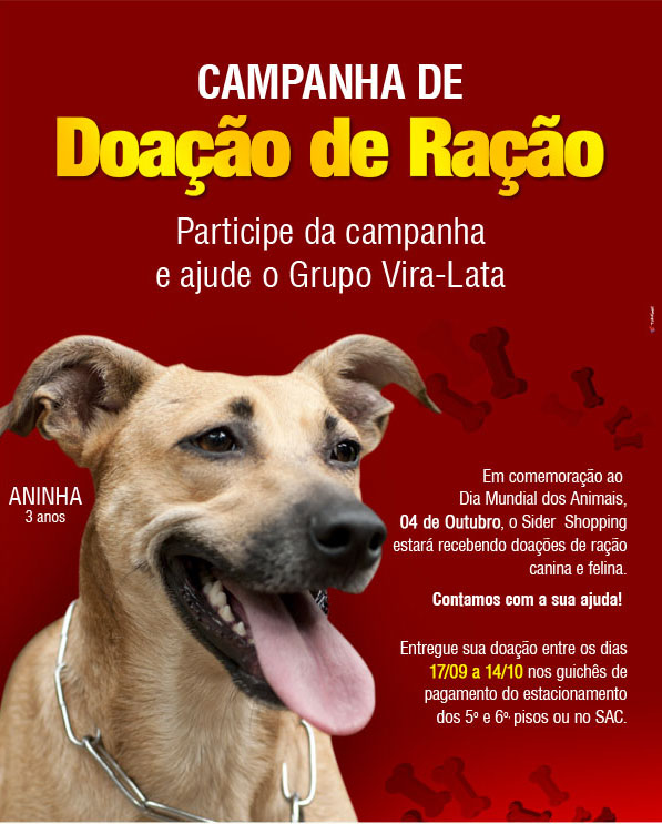 Campanha