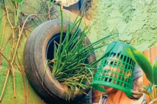 Dhiogo Caetano lança Realidade Trans