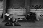 Lendo O Cortiço - Sobre a aversão à pobreza