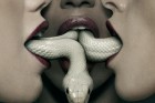 Confira as renovações e os cancelamentos das suas séries favoritas