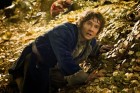 Apenas duas estreias, mas dois ótimos filmes