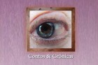Os contos e crônicas de Ernani Mazza agora em livro