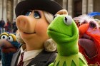 Volta dos Muppets é a única estreia da semana na região