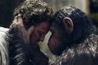 Macacos são o destaque entre as três novidades na região
