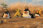 Pré-estreia do filme dos pinguins salva o cinema do marasmo