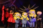 Os Minions ganham versão para o teatro no Gacemss