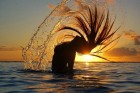 Cuidados com o cabelo no verão