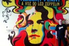 Blogueiros: 
