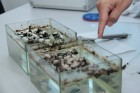 Mestrando do UniFOA surpreende com inovação ambiental