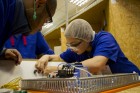 Firjan Senai e INB oferecem 76 vagas gratuitas em cursos