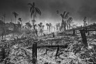 A destruição da Amazônia pelo olhar de Araquém Alcântara