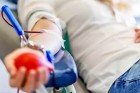 UniFOA inicia campanha de doação de sangue