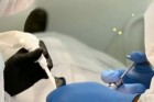 A importância da saúde bucal na prevenção de doenças