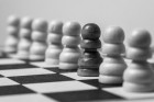 Democracia e racismo