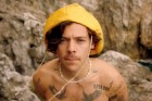 Um presente para os fãs de Harry Styles