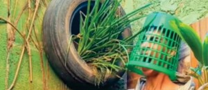 Dhiogo Caetano lança Realidade Trans first